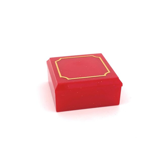 Studs Gold Border Plastic Box - Image 5