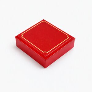 Plastic Box Large